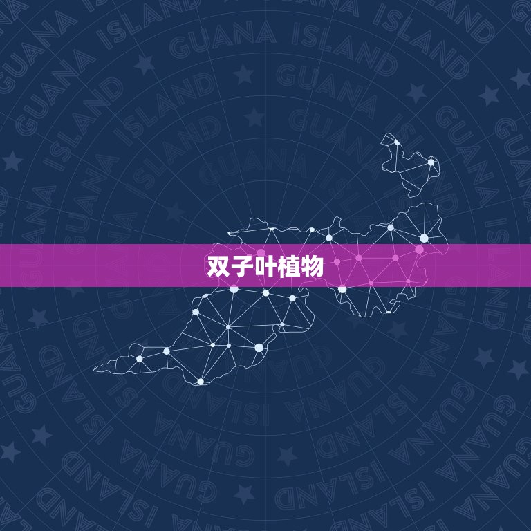 常见单子叶和双子叶植物(了解植物的基本分类)  第2张