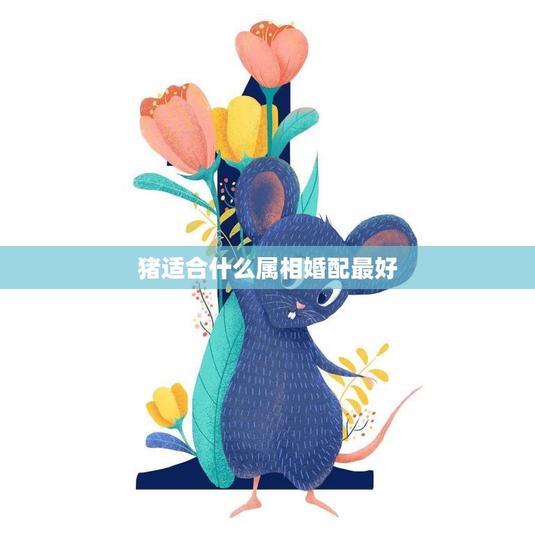 猪适合什么属相婚配最好(探秘十二生肖中最佳配偶组合)  第3张