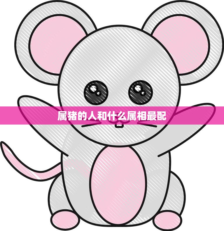 属猪的人和什么属相最配(十二生肖配对大揭秘)  第3张