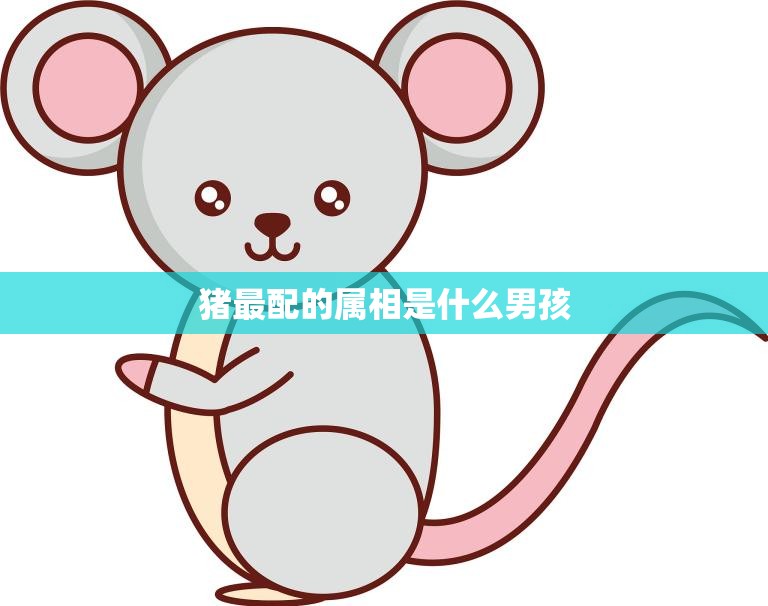 猪最配的属相是什么男孩(揭秘十二生肖中最佳配对)  第3张