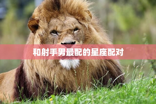 和射手男最配的星座配对(完美组合射手男与狮子女)  第3张