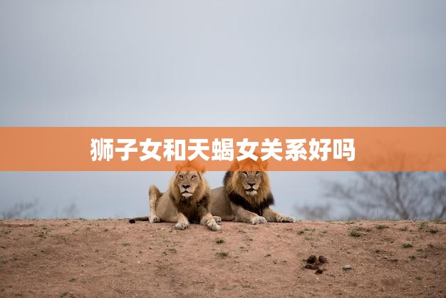 狮子女和天蝎女关系好吗(探究星座之间的爱恨情仇)  第3张