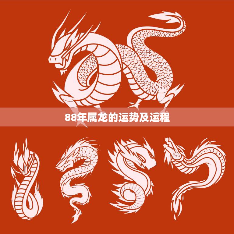 88年属龙的运势及运程(2023年运势大揭秘)  第3张