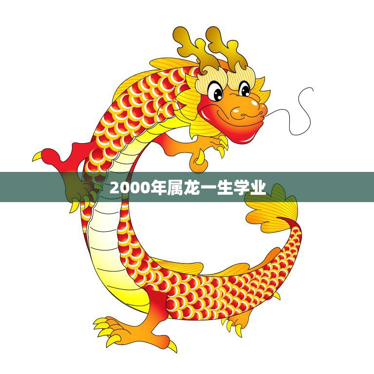 2000年属龙一生学业(如何在学业上取得成功)