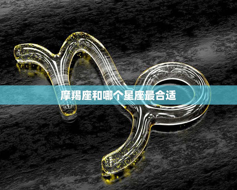 摩羯座和哪个星座最合适(寻找最佳星座匹配)  第3张