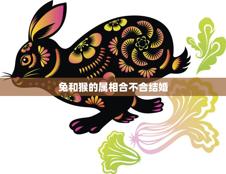 兔和猴的属相合不合结婚(解析兔猴姻缘如何)  第3张