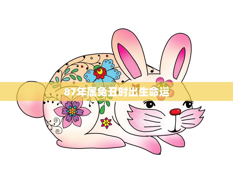 87年属兔丑时出生命运(如何影响你的人生)  第3张