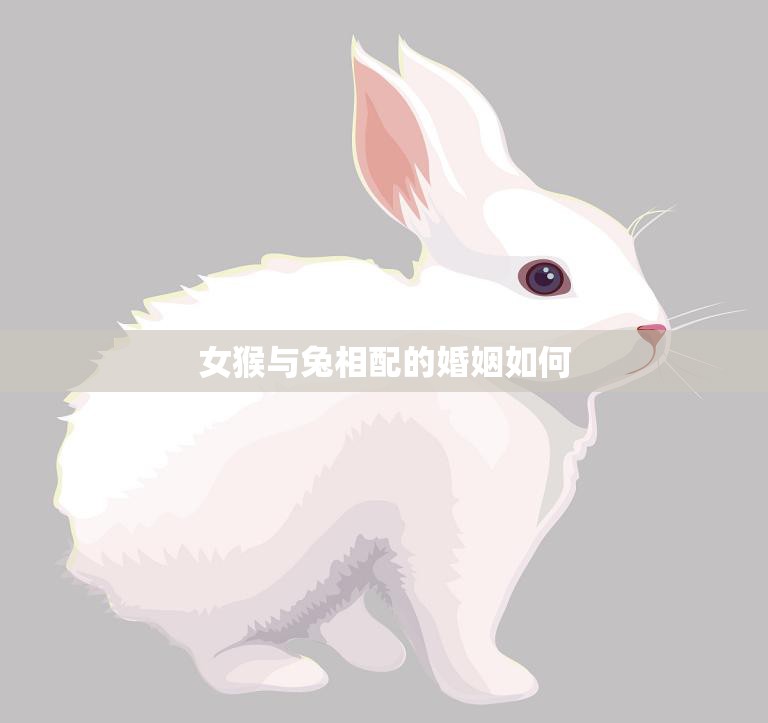 女猴与兔相配的婚姻如何(幸福美满还是悲剧收场)  第3张