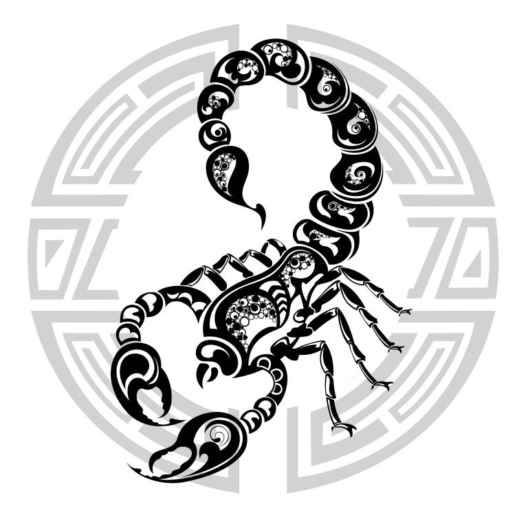 天蝎座爱情运势2023(浪漫之年爱情如虹)  第2张