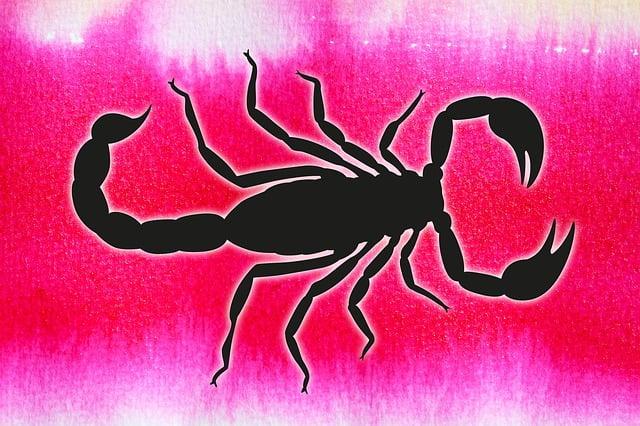 天蝎座什么第一名女生呢(揭秘天蝎座女生的最高荣誉)  第2张
