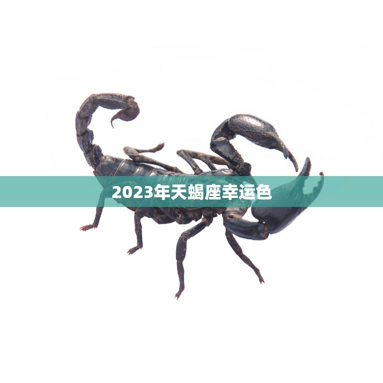 2023年天蝎座幸运色(揭秘星座专家预测最适合天蝎座的幸运色)