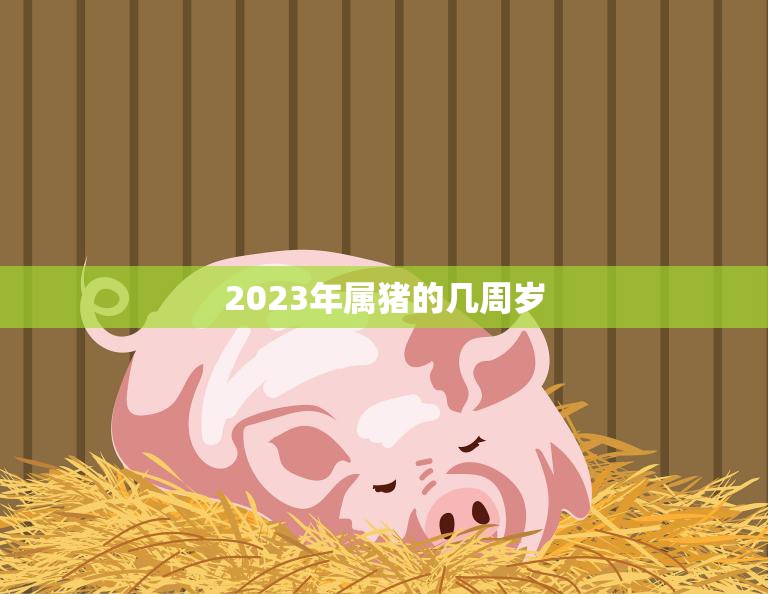 2023年属猪的几周岁(猪年宝宝们的成长秘密)