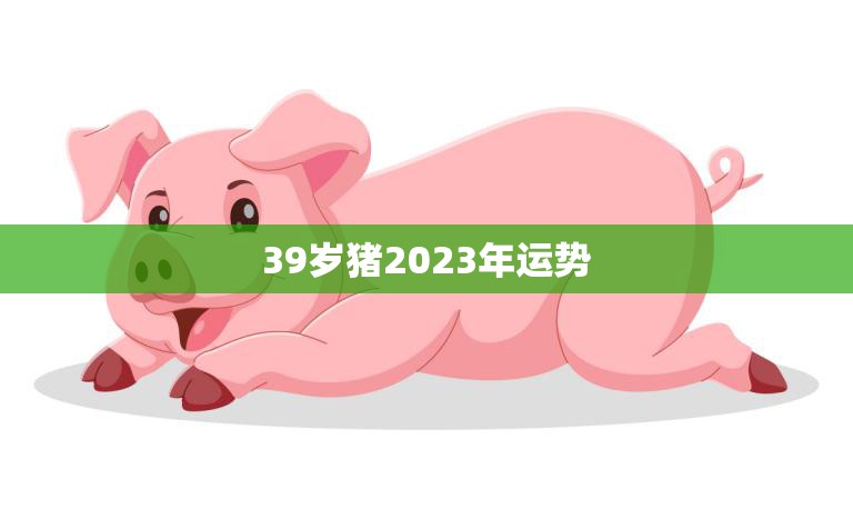 39岁猪2023年运势(猪年大展宏图财运亨通)