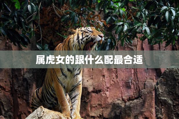 属虎女的跟什么配最合适(如何选择最佳配偶)  第3张