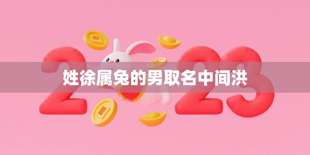 姓徐属兔的男取名中间洪(如何选择一个好名字)  第3张