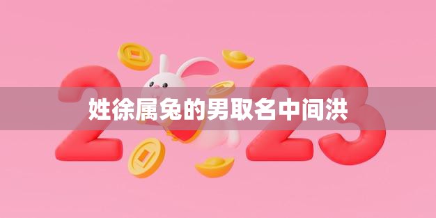 姓徐属兔的男取名中间洪(如何选择一个好名字)