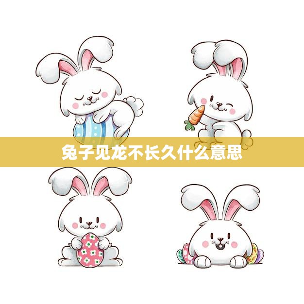 兔子见龙不长久什么意思(兔子与龙的寓意解析)  第3张