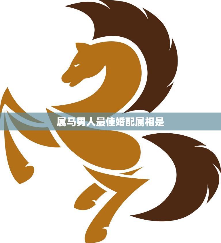 属马男人最佳婚配属相是(揭秘与哪些属相最般配)  第3张