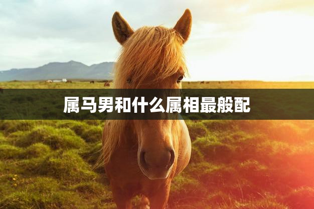 属马男和什么属相最般配(十二生肖配对大揭秘)  第3张