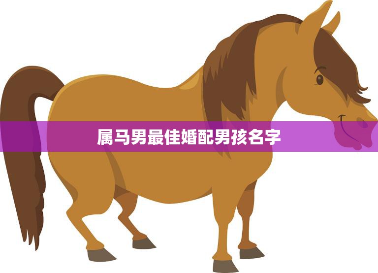 属马男最佳婚配男孩名字(如何选择)  第3张