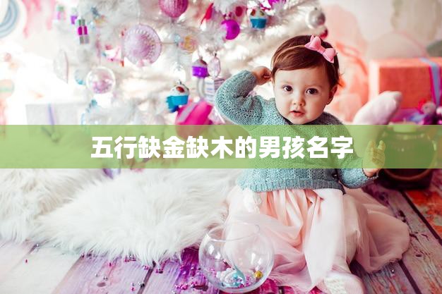 五行缺金缺木的男孩名字(如何选择)  第3张
