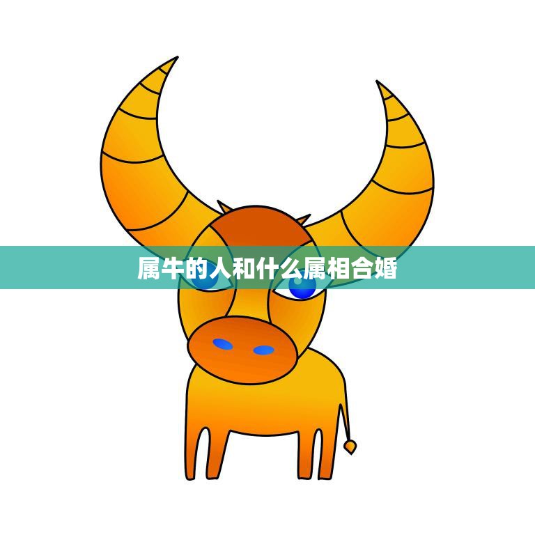 属牛的人和什么属相合婚(最佳婚配星座大揭秘)  第3张
