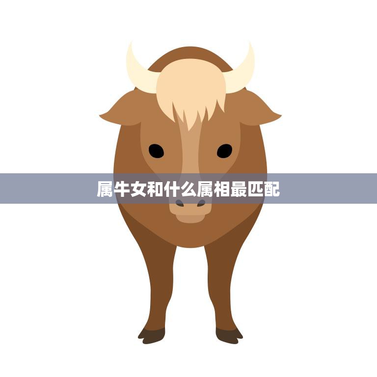 属牛女和什么属相最匹配(十二生肖最佳配对)  第3张