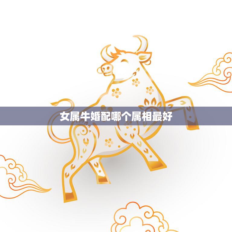 女属牛婚配哪个属相最好(最佳婚配属相大揭秘)  第3张