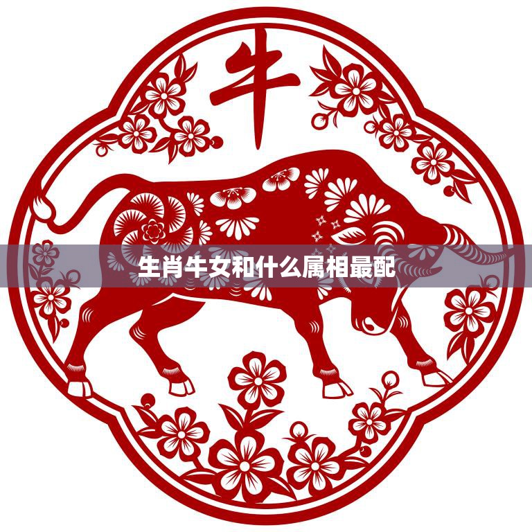 生肖牛女和什么属相最配(十二生肖配对大揭秘)  第3张