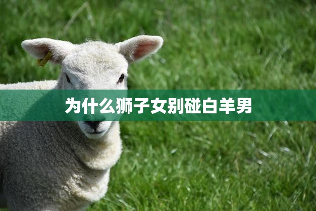 为什么狮子女别碰白羊男(星座配对的致命缺陷)  第3张