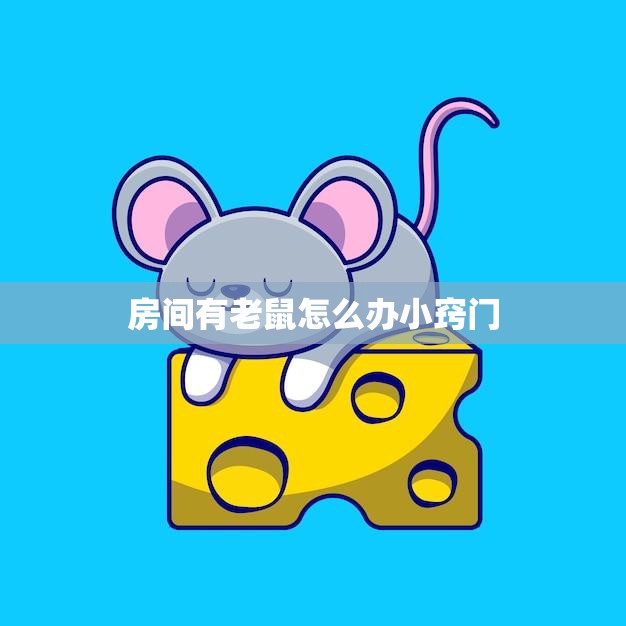 房间有老鼠怎么办小窍门(快速有效的驱赶老鼠方法)  第3张