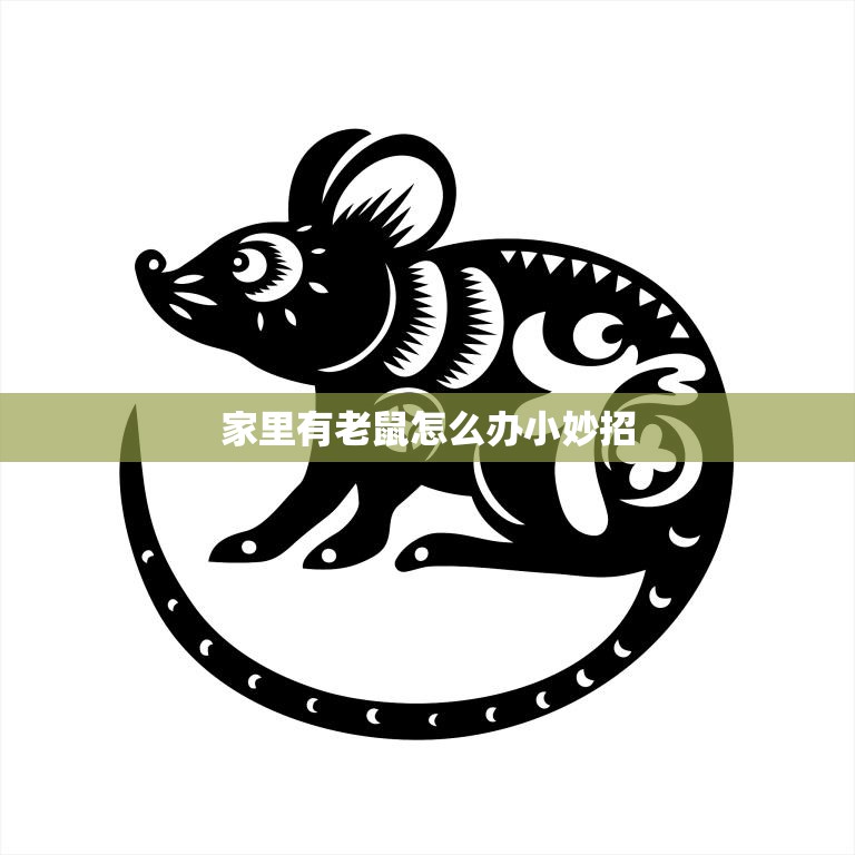 家里有老鼠怎么办小妙招(快速有效的驱鼠秘籍)  第3张