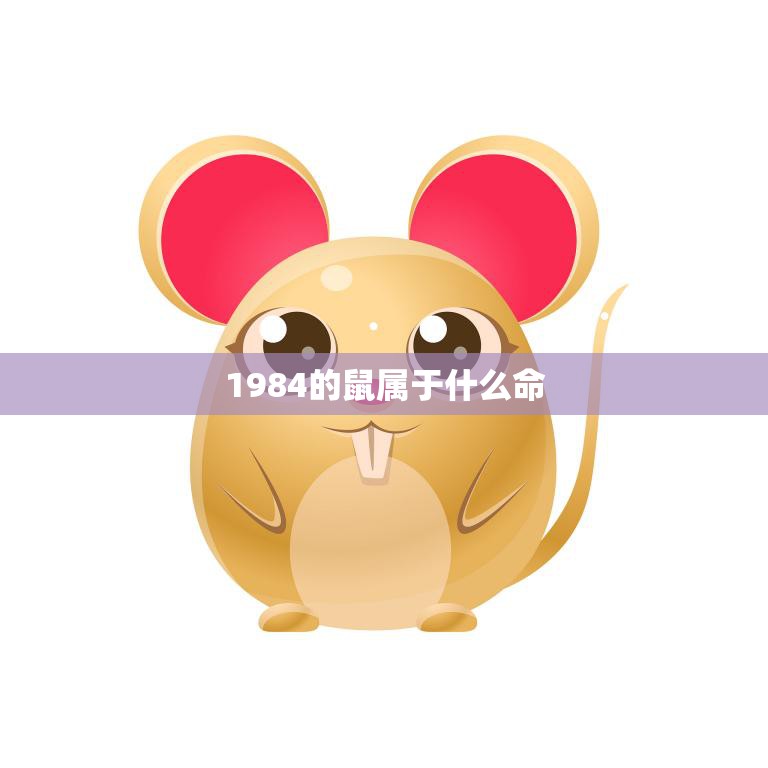 1984的鼠属于什么命(揭秘鼠年出生的人性格特点与运势)  第3张