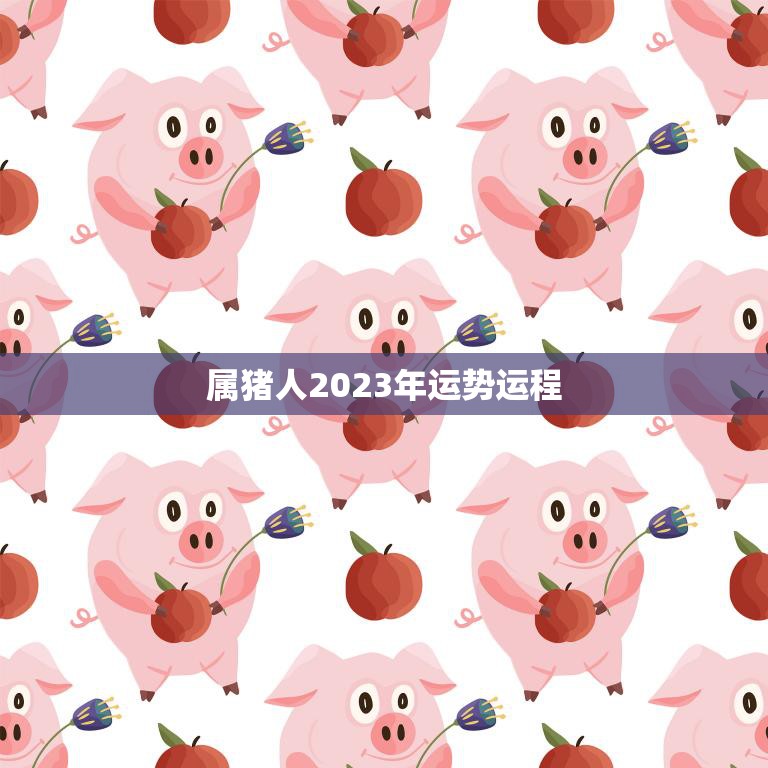 属猪人2023年运势运程(猪年旺势持续财运亨通)  第3张
