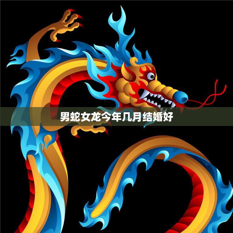 男蛇女龙今年几月结婚好(顺应天时地利定格爱情时刻)  第3张