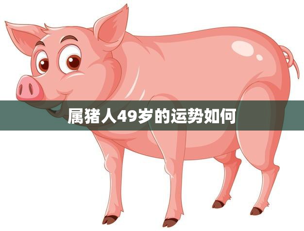 属猪人49岁的运势如何(2023年运势大揭秘)  第3张