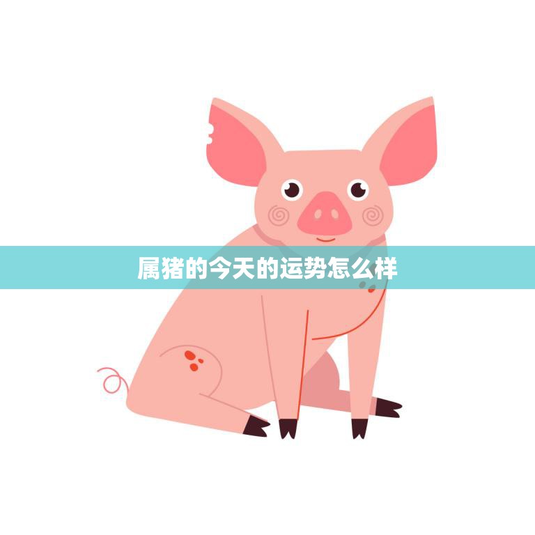 属猪的今天的运势怎么样(财运亨通感情顺利)  第3张