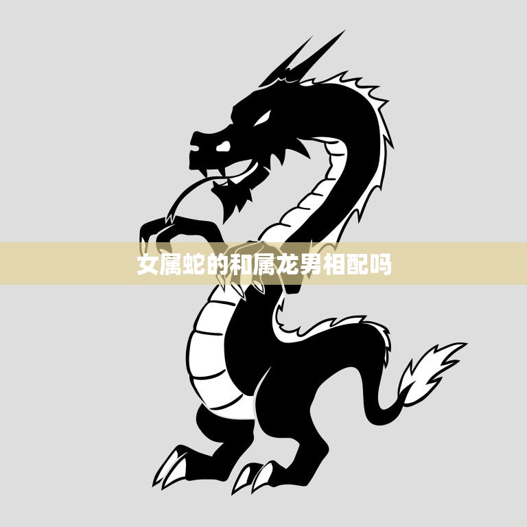 女属蛇的和属龙男相配吗(解析命理学角度下的姻缘)  第3张