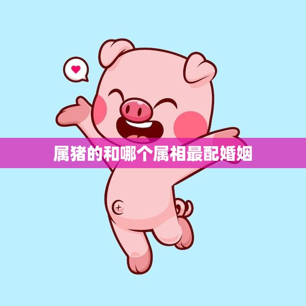 属猪的和哪个属相最配婚姻(星座专家揭秘最佳组合)  第3张
