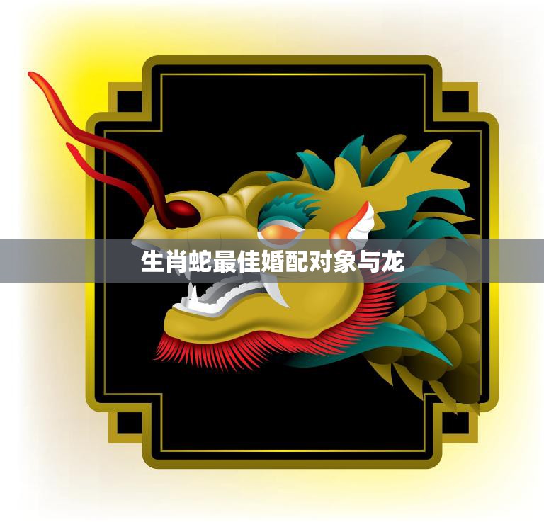 生肖蛇最佳婚配对象与龙(完美配对天作之合)  第3张