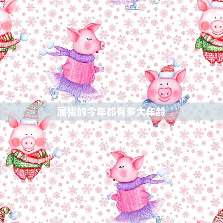 属猪的今年都有多大年龄(2023年猪年生肖运势大揭秘)  第3张