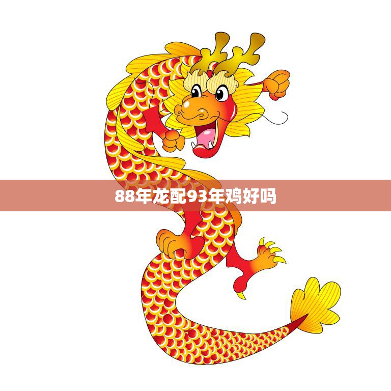 88年龙配93年鸡好吗(如何看待这种配对)  第3张