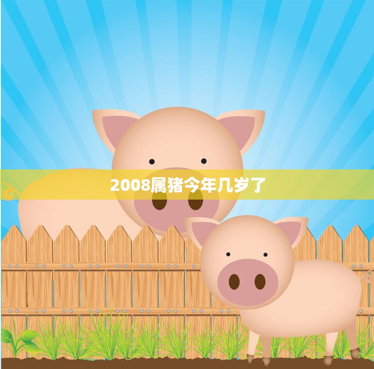 2008属猪今年几岁了(猪年人的年龄计算方法)