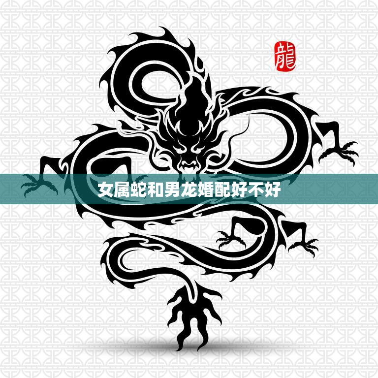 女属蛇和男龙婚配好不好(如何看待这种组合)  第3张
