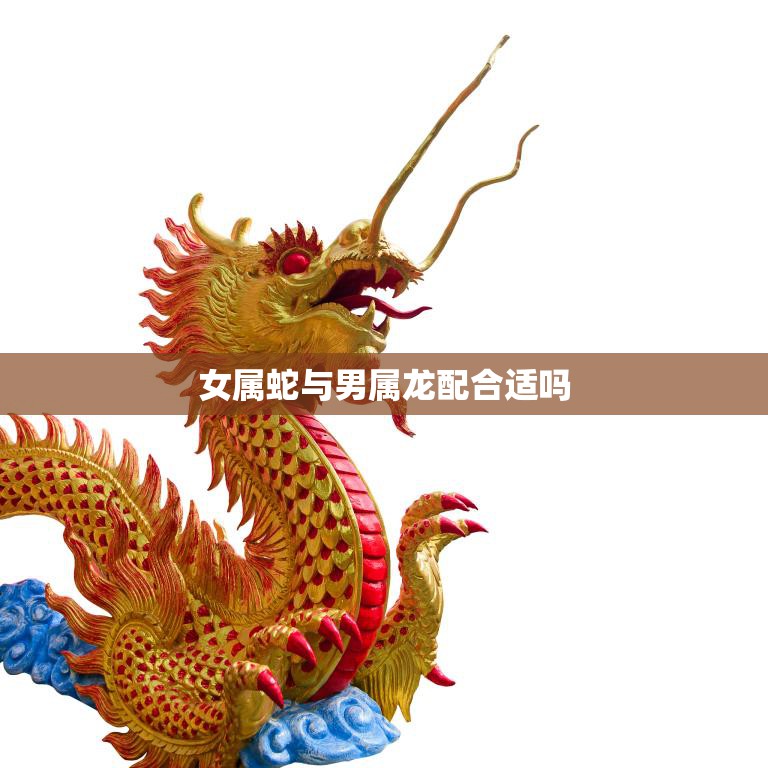 女属蛇与男属龙配合适吗(解析属相配对的奥秘)  第3张