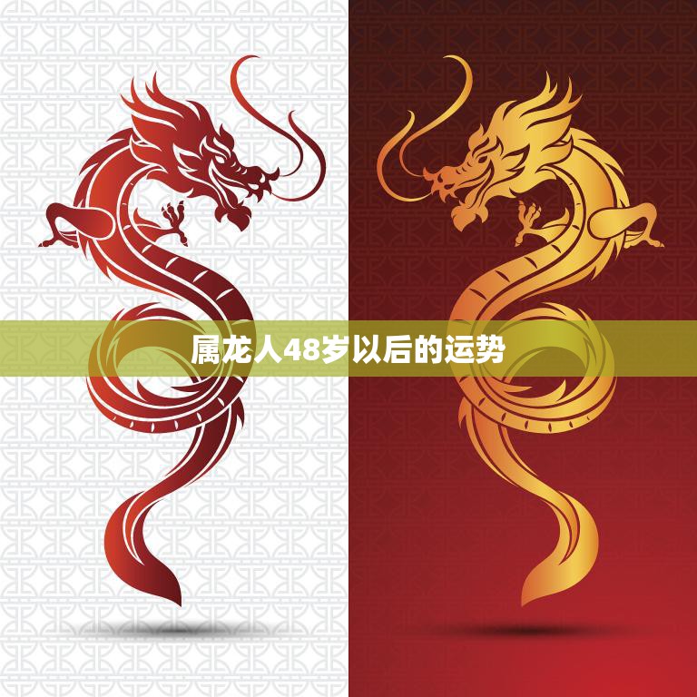 属龙人48岁以后的运势(未来如何)  第3张