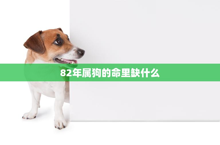 82年属狗的命里缺什么(如何化解命中缺陷)  第3张