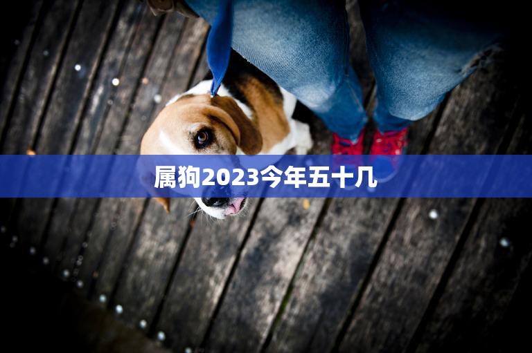 属狗2023今年五十几(如何应对人生下半场)