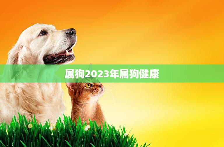 属狗2023年属狗健康(保持健康的秘诀)