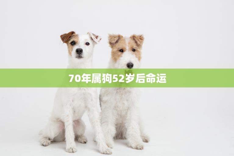 70年属狗52岁后命运(如何转运)  第3张